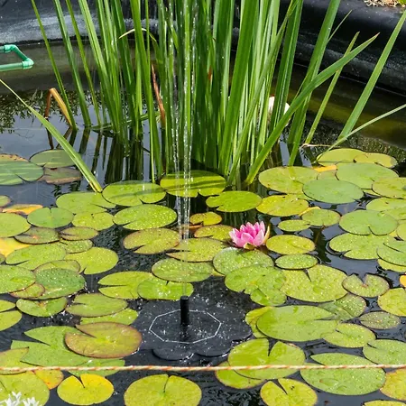 Διαμέρισμα In Braunichswalde