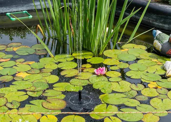 Appartement In Braunichswalde